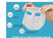 STEM CELLS ANTI AGING MASK 