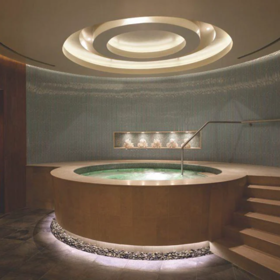 VITALITY  POOL VT005